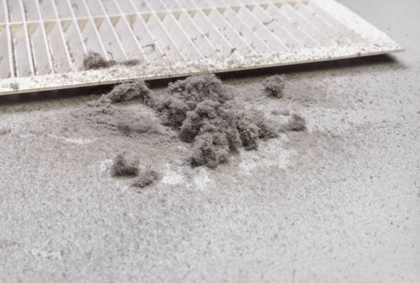 Best Air Duct Cleaning Near Me  in North Riverside, IL